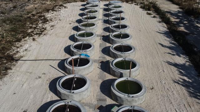 İklim değişikliğinin göller üzerindeki olası etkileri simülasyonla hesaplanıyor