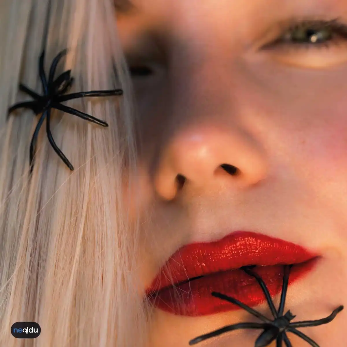 Araknofobi nedir? Araknofobi belirtileri nelerdir? Araknofobi nedenleri nedir? Araknofobi tedavisi nedir? Araknofobi günlük hayatı nasıl etkiler?