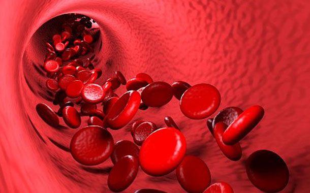 Vazokonstriksiyon nedir? Vazokonstriksiyon Neden Olur? Vazokonstriksiyona Neden Olan Yiyecekler? Vazokonstriksiyon Fizyolojik Olarak Nedir? Damarı Genişletmeye Ne İyi Gelir?