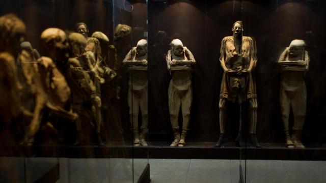 Üzerinde mantar büyüyen mumyalar Meksika'da halk sağlığını tehdit ediyor