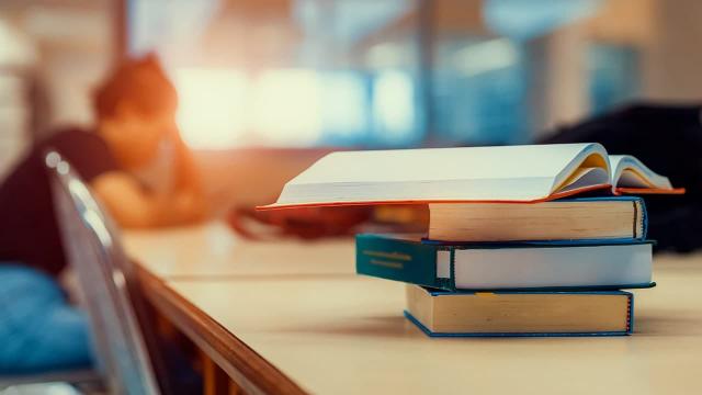 YÖK, burs miktarlarını artırdı