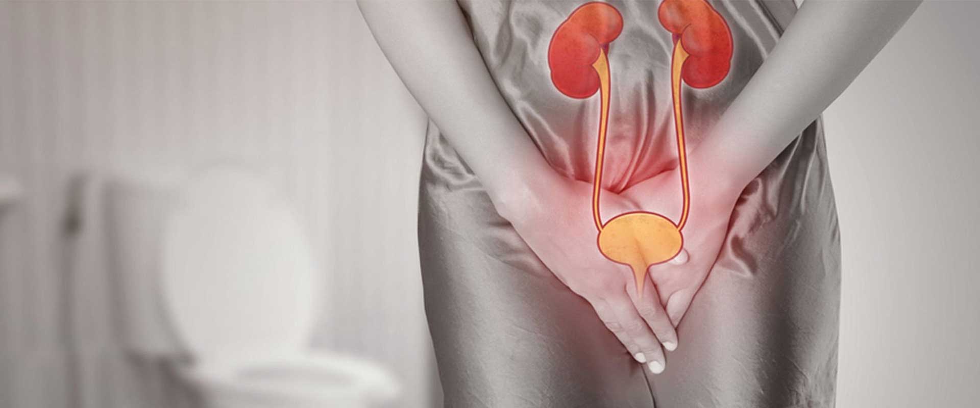 Sistit nedir? Sistit belirtileri nelerdir? Sistit teşhisi nasıl konur? Sistit nedenleri nelerdir? Sistit tedavisi nasıldır? Sistitten korunma yolları nasıldır? Erkeklerde sistit? Sistit teşhisi? Sistitte ilaç tedavisi nedir?